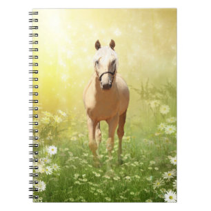 Sunlit palomino horse notebook