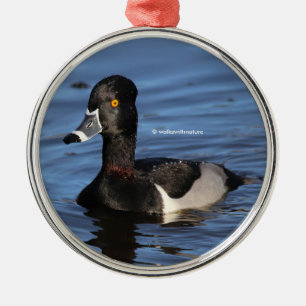 Sunlit Profile of a Ring-Necked Duck Metal Ornament