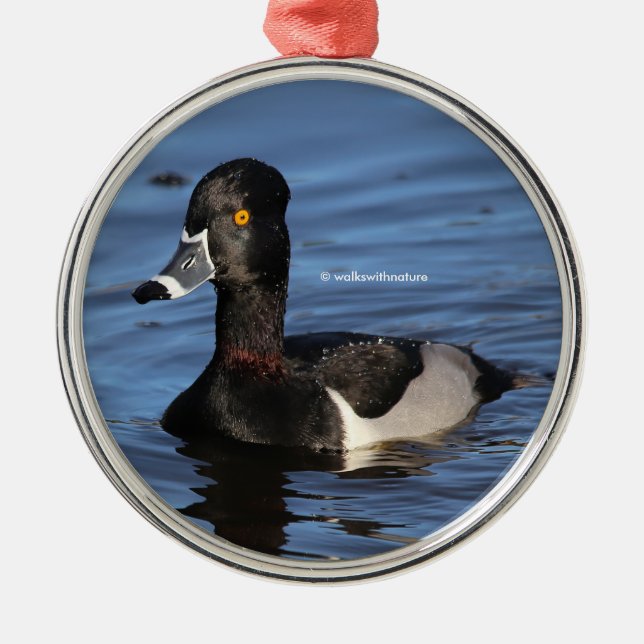 Sunlit Profile of a Ring-Necked Duck Metal Ornament (Front)