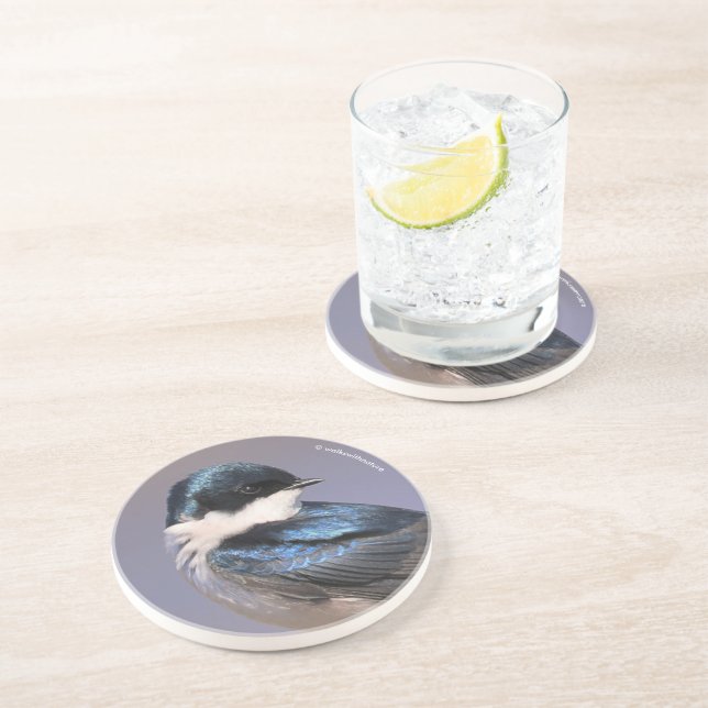 Sunlit Profile of a Tree Swallow Songbird Coaster (Side)
