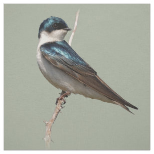 Sunlit Profile of a Tree Swallow Songbird Fabric