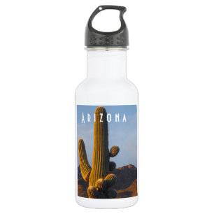 Sunlit Saguaro Arizona 532 Ml Water Bottle