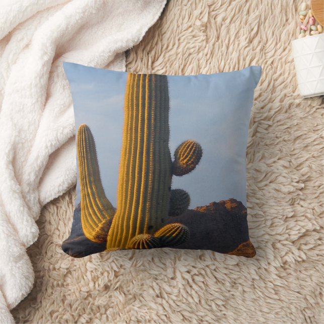 Sunlit Saguaro Cactus - Coussin (Couverture)