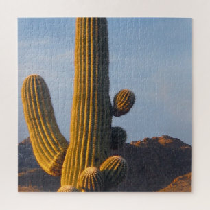 Sunlit Saguaro Cactus Jigsaw Puzzle