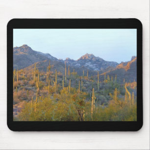 Sunlit Saguaro Field Mouse Pad