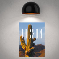 Sunlit Saguaro Tucson Scene