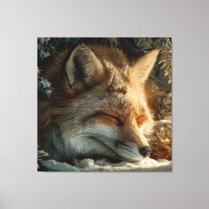 Sunlit Snow Fox Rest Canvas Print