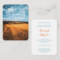 Sunlit Summer Country Road Golden Field Rustic