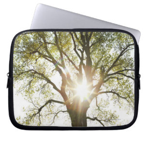 Sunlit Tree Laptop Sleeve