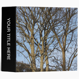 Sunlit Trees in Early Spring (2in) Binder