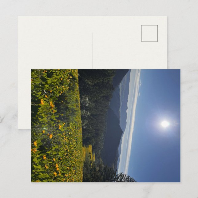 Sunlit Valley Postcard (Front/Back)