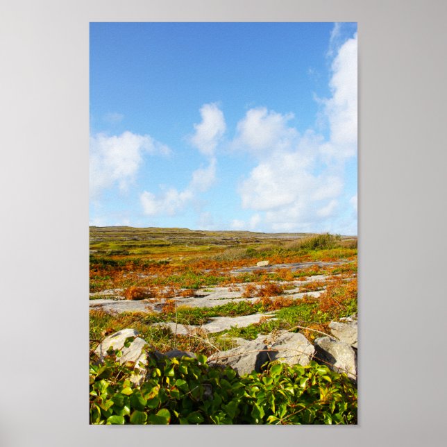 Sunlit View Poster (Front)