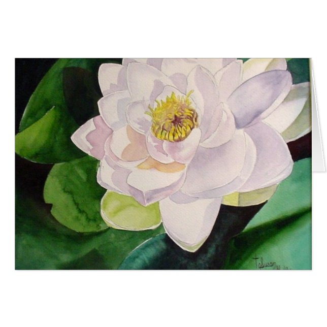 Sunlit Water Lily Card (Front Horizontal)