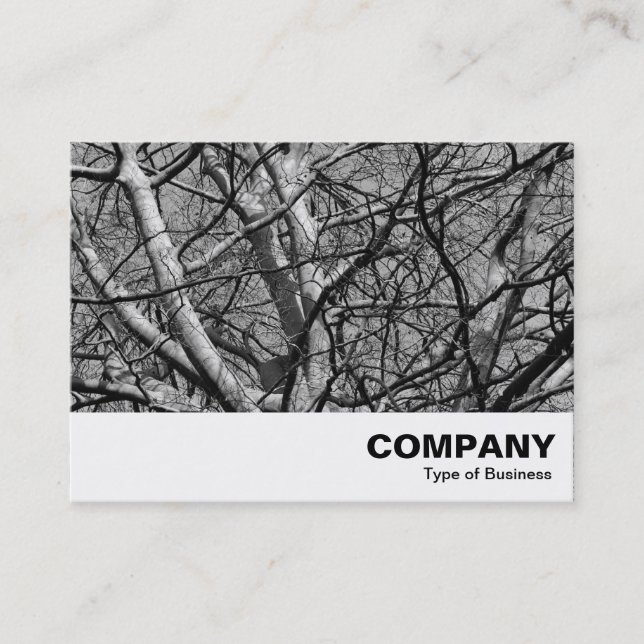 Sunlit Winter Branches (B&W) Business Card (Front)
