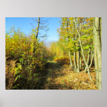 Sunlit Woods in Autumn - Personalized