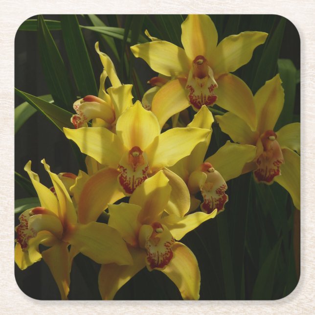 Sunlit Yellow Orchids Floral Square Paper Coaster (Front)