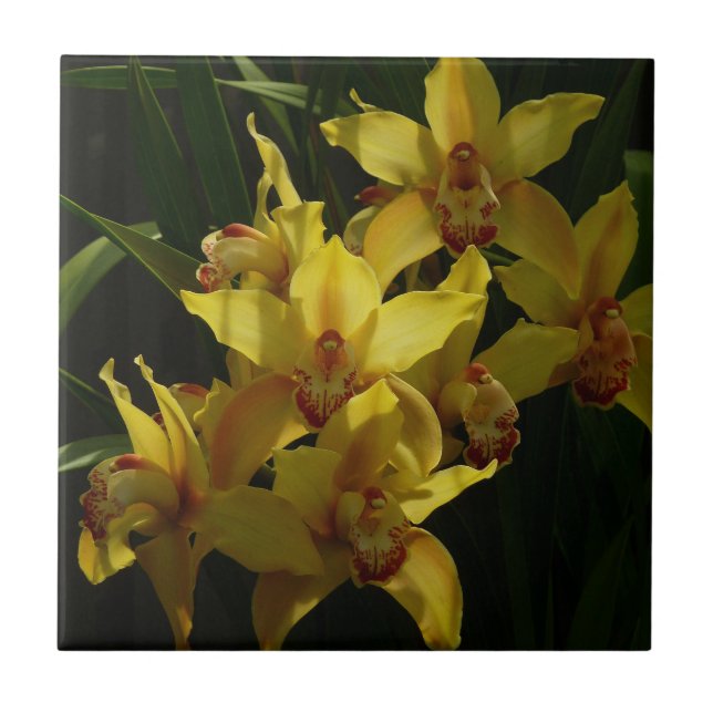 Sunlit Yellow Orchids Floral Tile (Front)