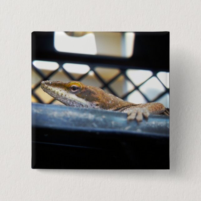 Sunning Green Anole Lizard Photo 2 Inch Square Button (Front)