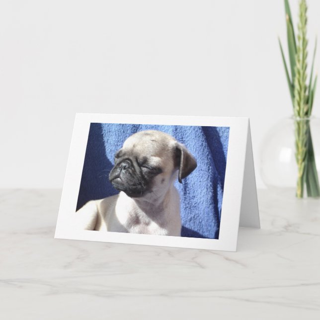 sunning pugs card (Front)