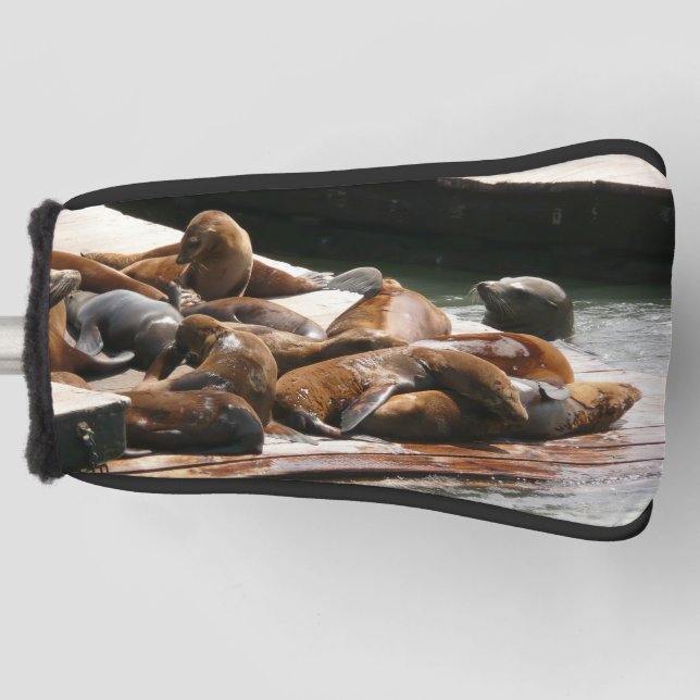 Sunning Sea Lions in San Francisco Golf Head Cover (Front)