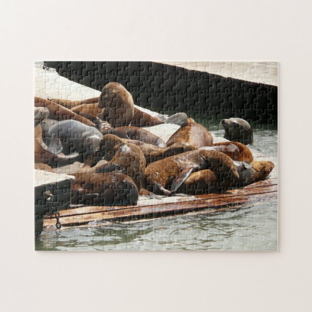 Sunning Sea Lions in San Francisco Jigsaw Puzzle (Horizontal)