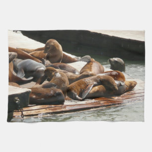 Sunning Sea Lions in San Francisco Kitchen Towel