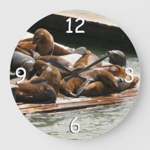 Sunning Sea Lions in San Francisco Large Clock