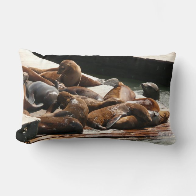 Sunning Sea Lions in San Francisco Lumbar Pillow (Front)