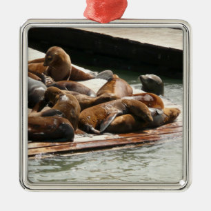 Sunning Sea Lions in San Francisco Metal Ornament