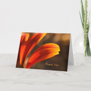 Sunny Afternoon Thank You Note Card