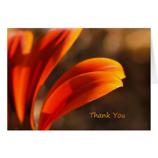 Sunny Afternoon Thank You Note Card