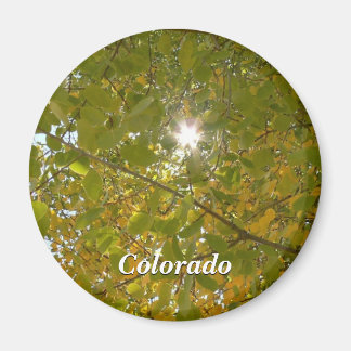 Sunny Aspen Magnet