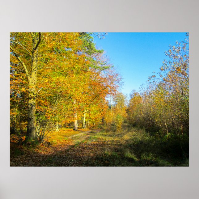 Sunny Autumn Forest - Personalized Poster (Front)