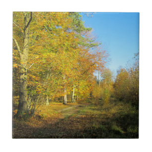 Sunny Autumn Walk - Personalised Ceramic Tile