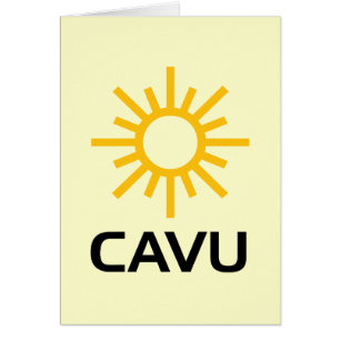 Sunny Aviation Lingo CAVU