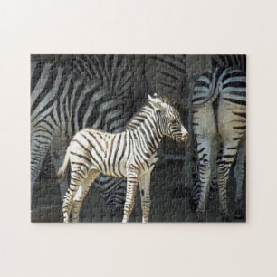 Sunny Baby Zebra Jigsaw Puzzle
