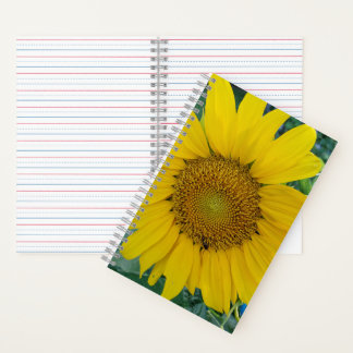 Sunny Blossoms - Sunflower Photo Notebook