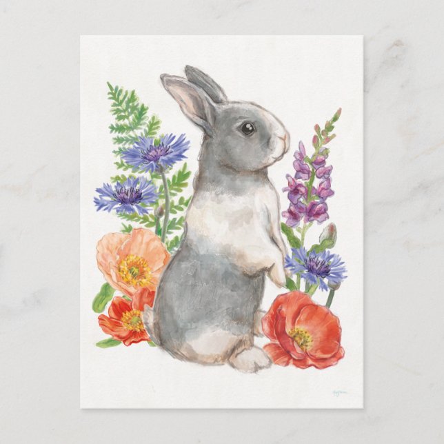 Sunny Bunny Postcard (Front)