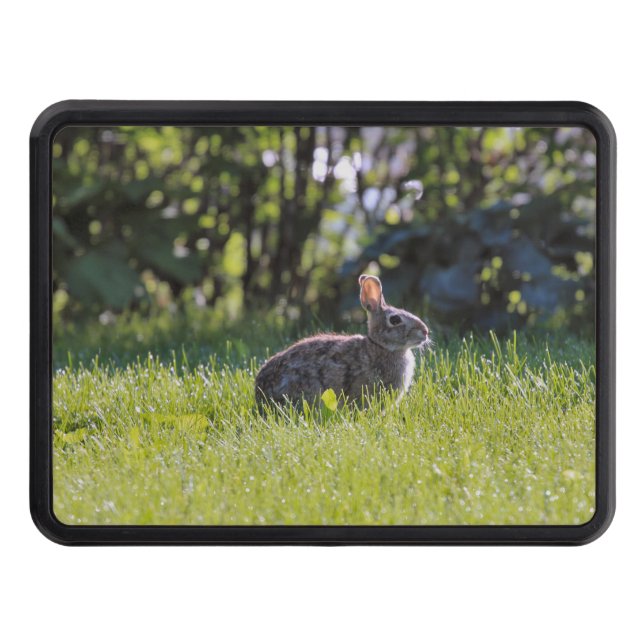 Sunny Bunny Trailer Hitch Cover (Front)
