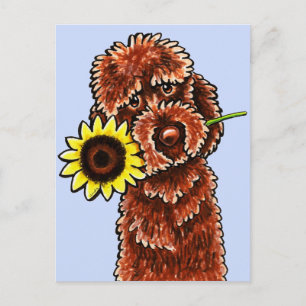 Sunny Chocolate Labradoodle Off-Leash Art™ Postcard