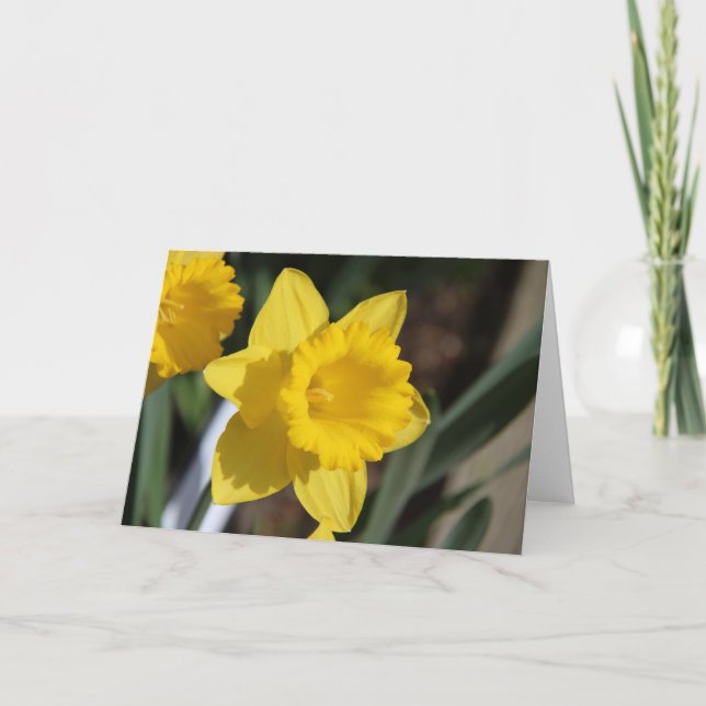 Sunny Daffodil Card (Front)