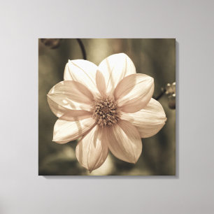 Sunny Dahlia Canvas Print