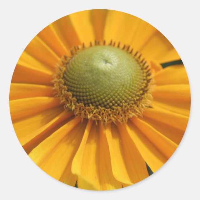 Sunny Day Classic Round Sticker (Front)