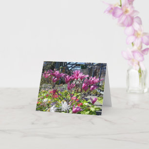 Sunny Day of the Magnolias Card