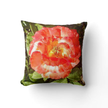 Sunny day Rose.......