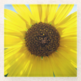 Sunny Daze plastic drink coaster