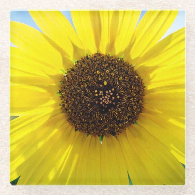 Sunny Daze plastic drink coaster (Front)