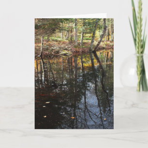 "Sunny Fall Day" Adirondack Forest and Trees Scene Card