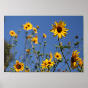 "Sunny Flowers" Poster