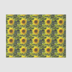 Sunny Gold Sunflower Tissue Paper